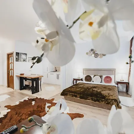 Apartamento Seasons Atmosphere Studio Braşov