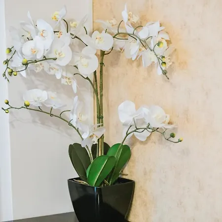 Seasons Atmosphere Studio * Braşov